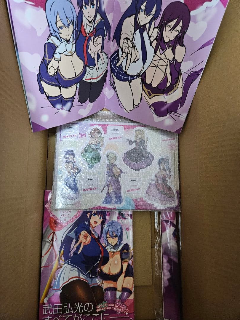 【特典付き】武田弘光 アートワークス 珠 アクスタ　タペストリー 未収録ラフ集