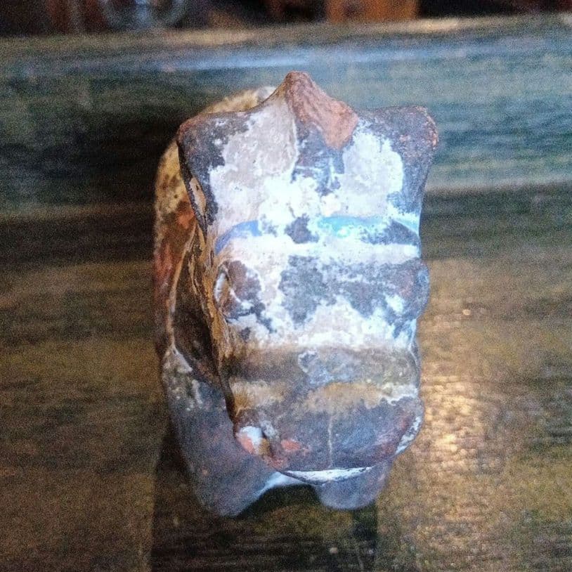 畝傍焼　馬の土鈴　レトロ ヴィンテージ