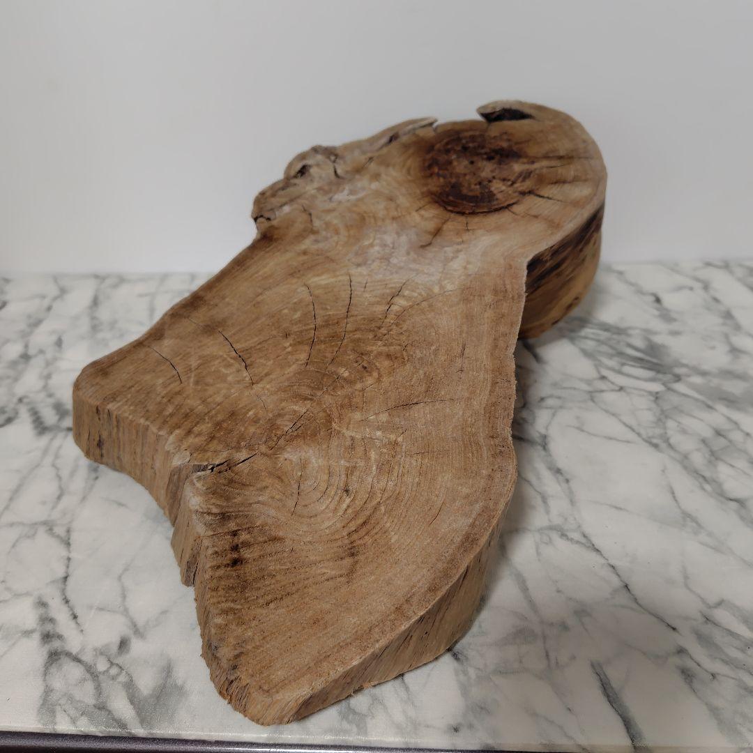 アク抜き済み流木【869】