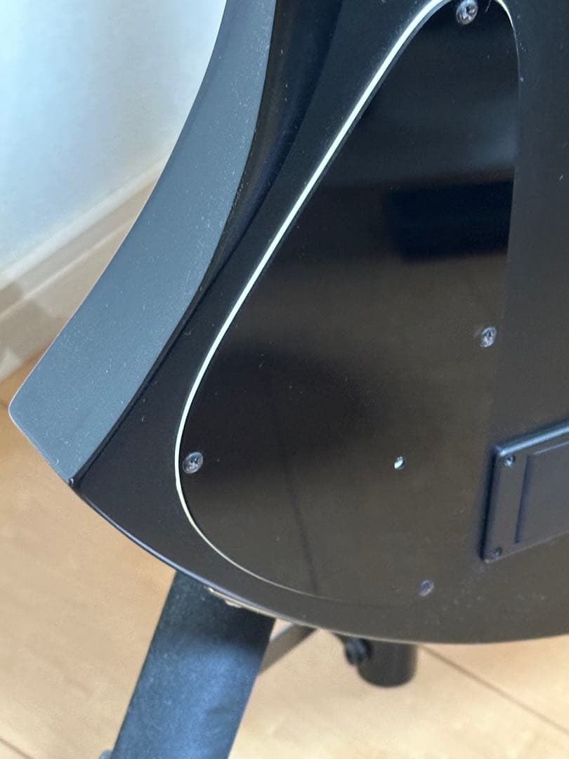 B*i様 FERNANDES フェルナンデス　Burny mg-125s 後期