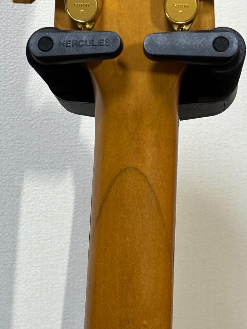 B*i様 FERNANDES フェルナンデス　Burny mg-125s 後期