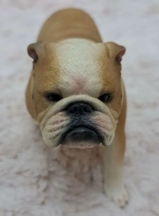 ブルドック　置物