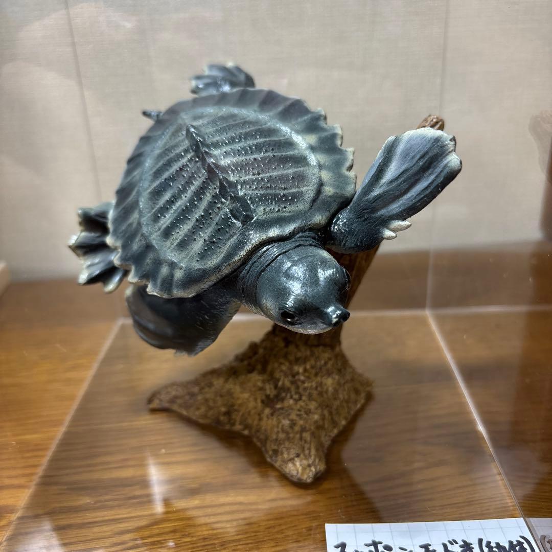 スッポンモドキ フィギュア ネイチャーテクニカラー