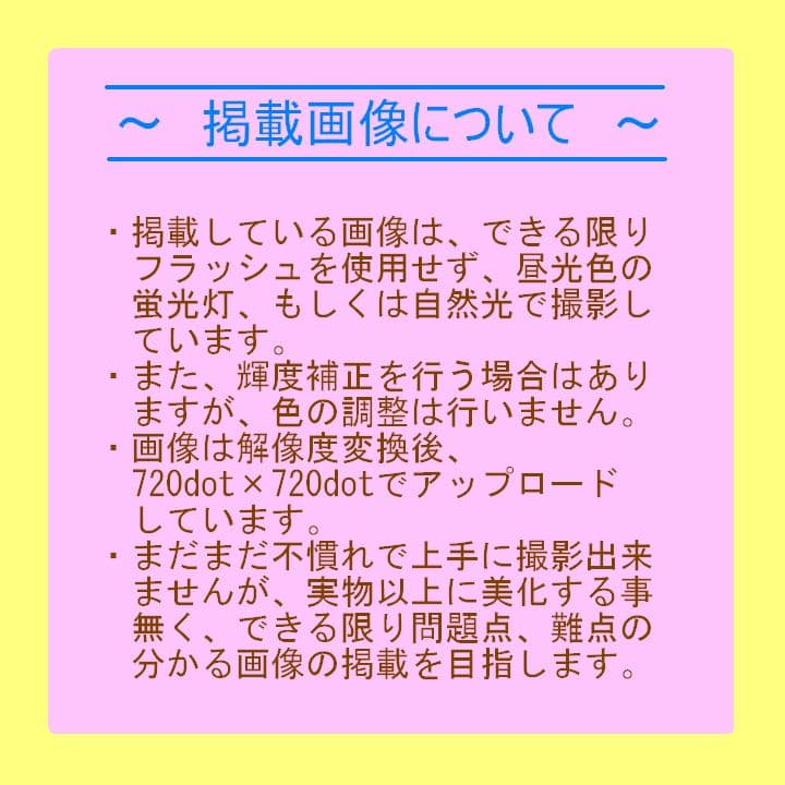 【YMO】FUJI カセットテープ インデックス 未記入 28枚セット 1981