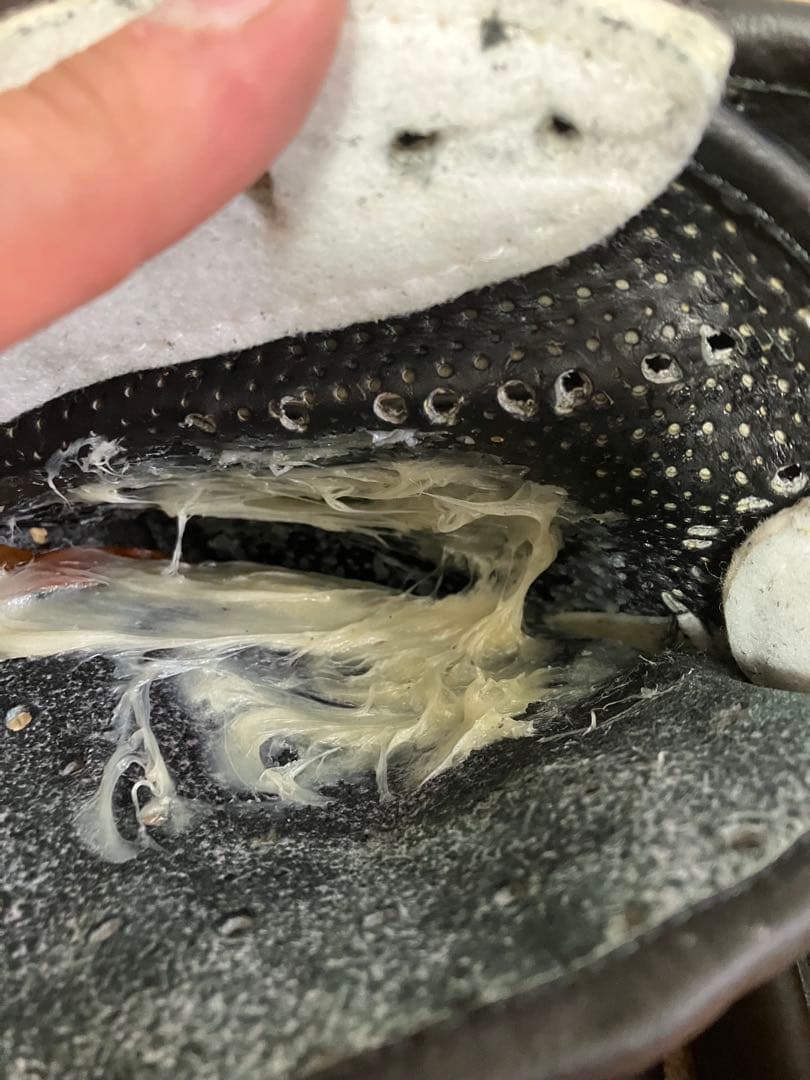 NIKE 硬式 外野手 グローブ