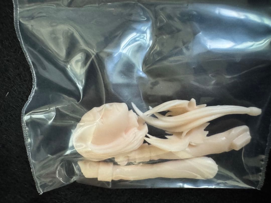 アトリエイット 林浩己 マリーダ・クルス 1/20