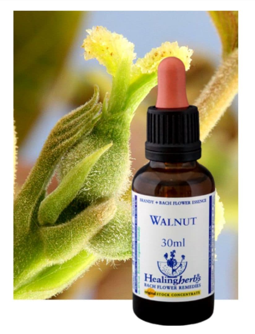 ponponette■30ml×3本ヒーリングハーブス社フラワーエッセンス