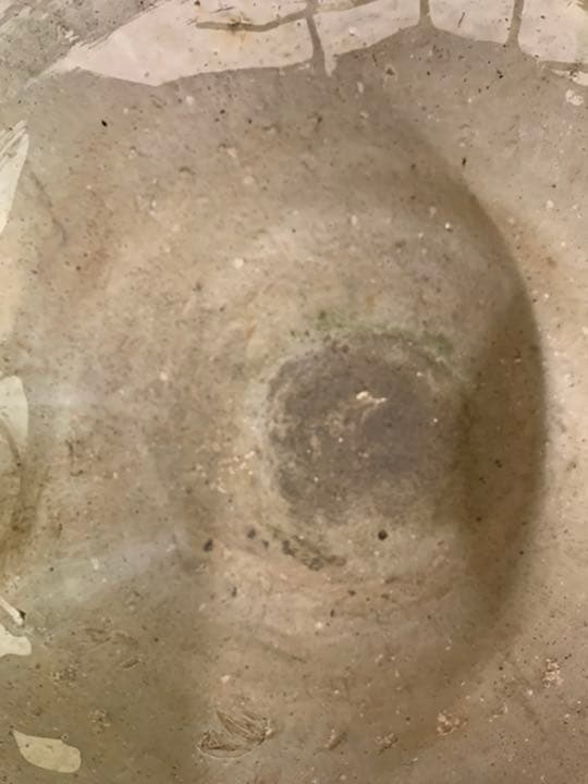 つくばい　ガーデニング　庭　オブジェ　メダカ　金魚　殿白窯　民芸陶器　手作り