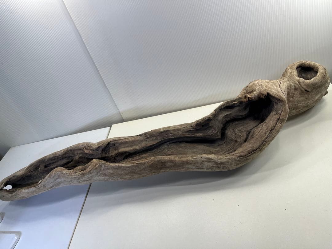 V3 特大流木 アク抜き済み流木 爬虫類シェルター 登り木 インテリア 生け花