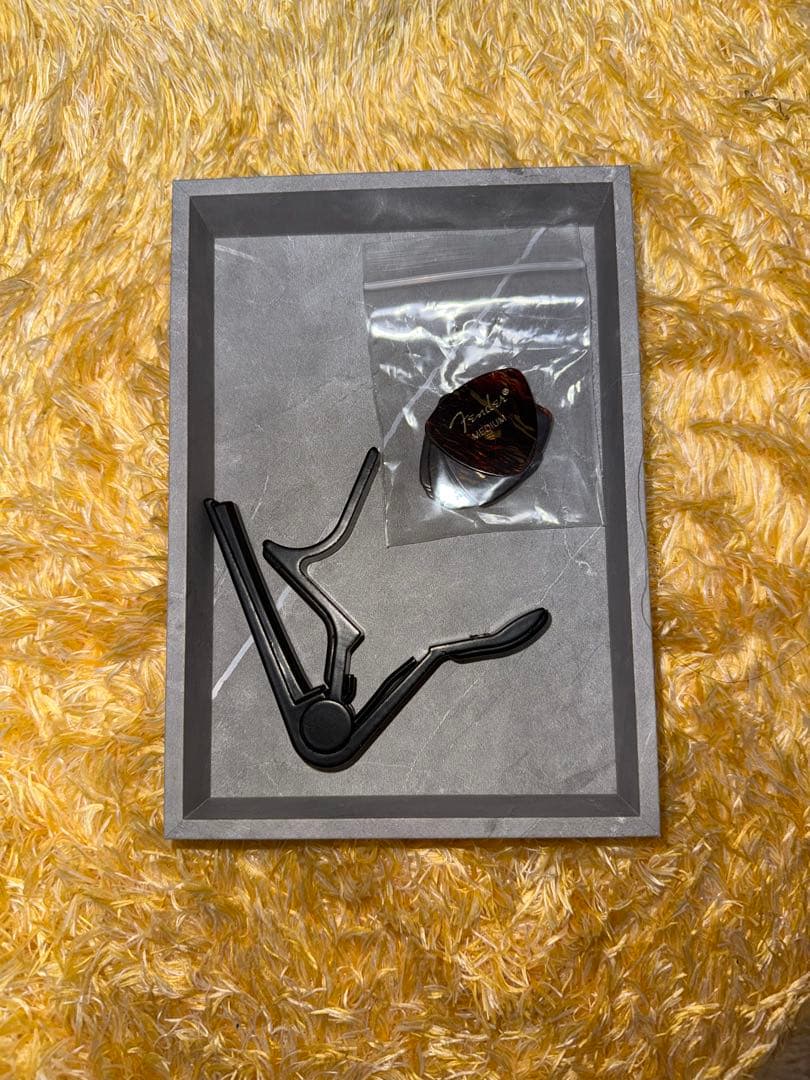 BUSKER’S BLC-500 レスポールカスタム(付属品多数あり)