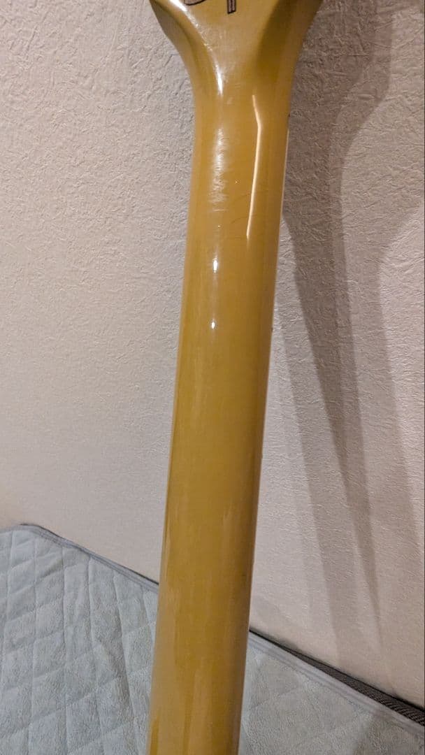 Gibson Les Paul Special DC 2018 希少モデル