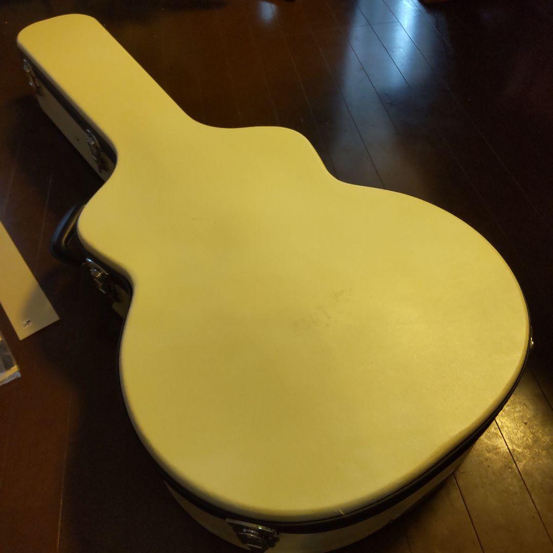 KING SNAKE Curtis H Deep Body フルアコ