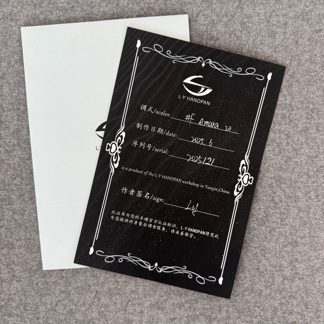 kotaです　　LYハンドパン#F amara20