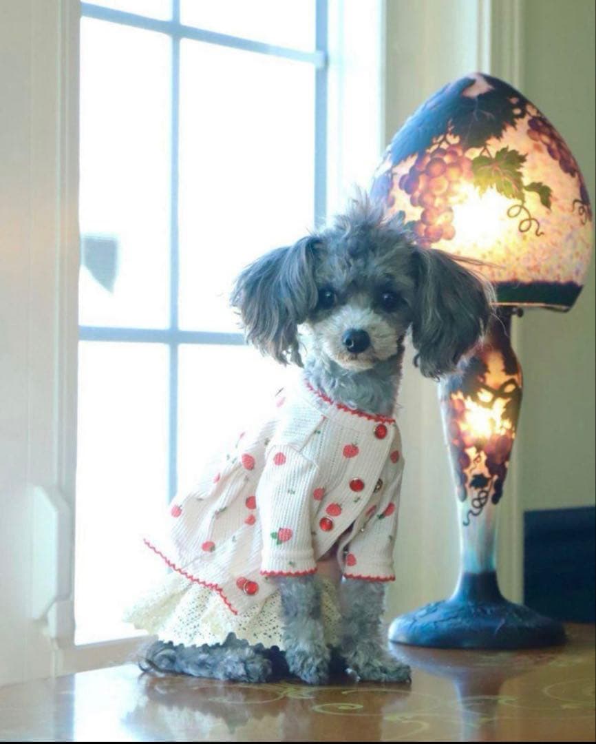 アトリエgg ストロベリー柄ワンピース