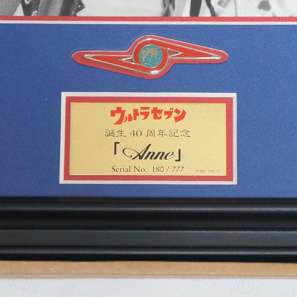 【中古】　限定フォトパネル　友里アンヌ　直筆サイン