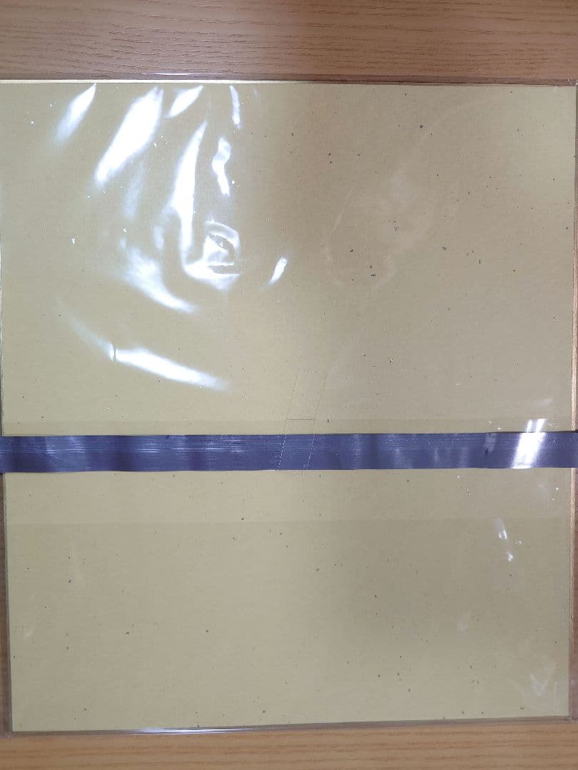 T*R様 学園アイドルマスターアニメイト全国行脚　飯田ヒカル直筆サイン色紙　チェ