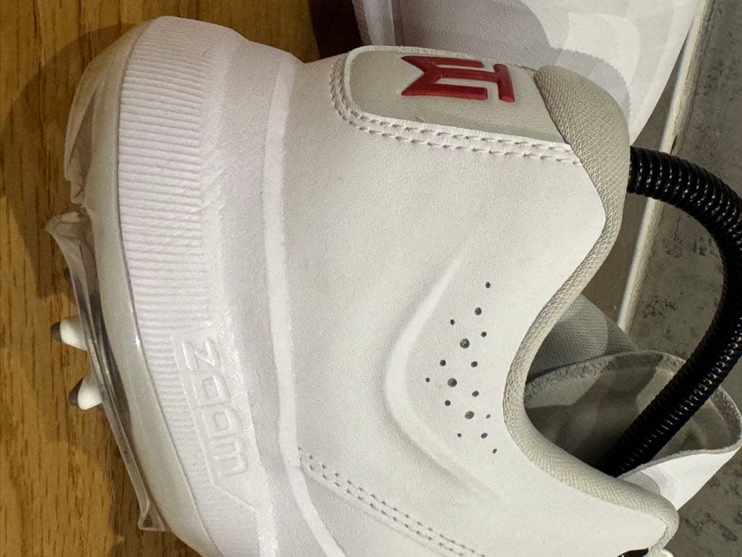 シューズ(男性用) NIKE AIR ZOOM TW20