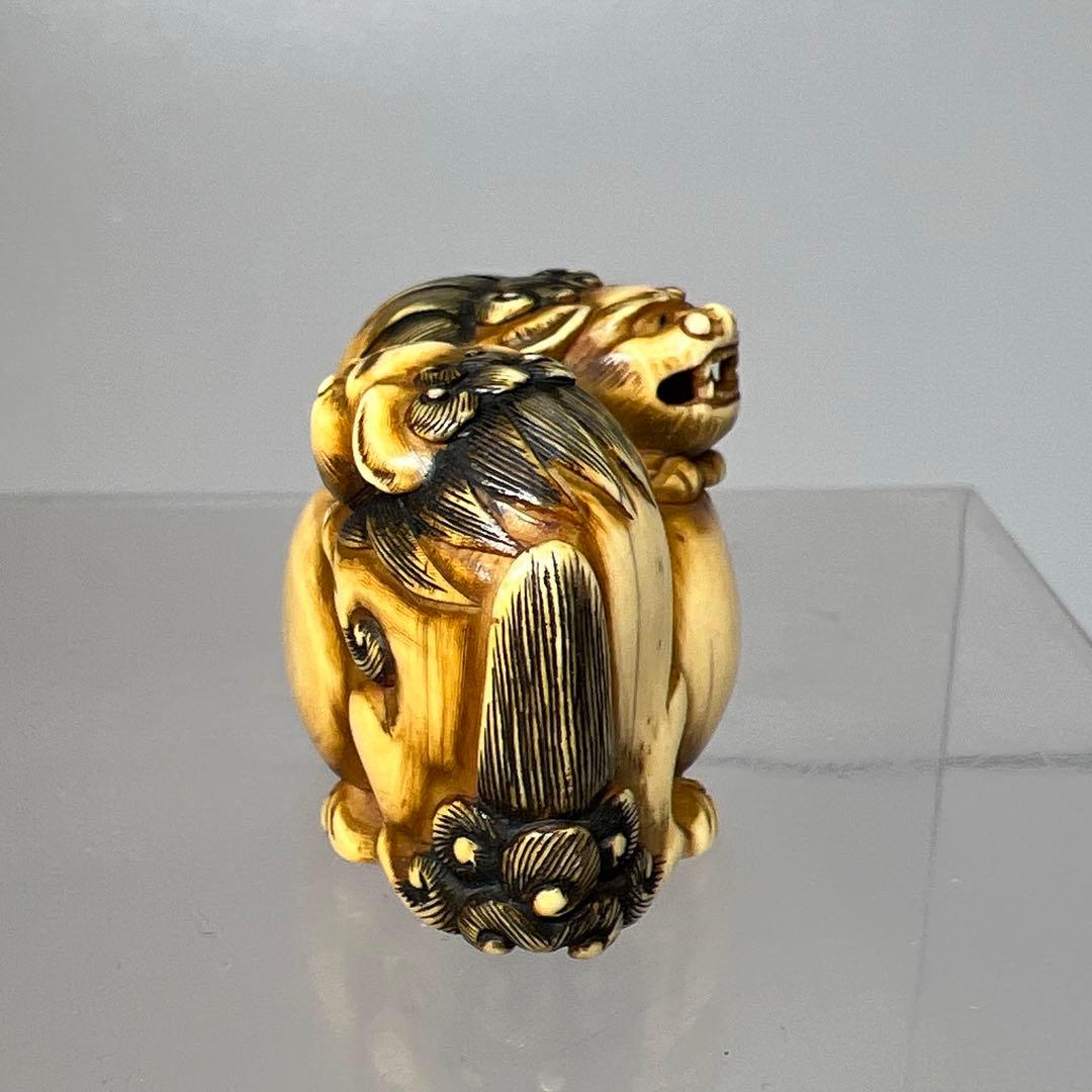 江戸時代　極上　獅子　根付　41g トニサト　東さ7-0923☆2F