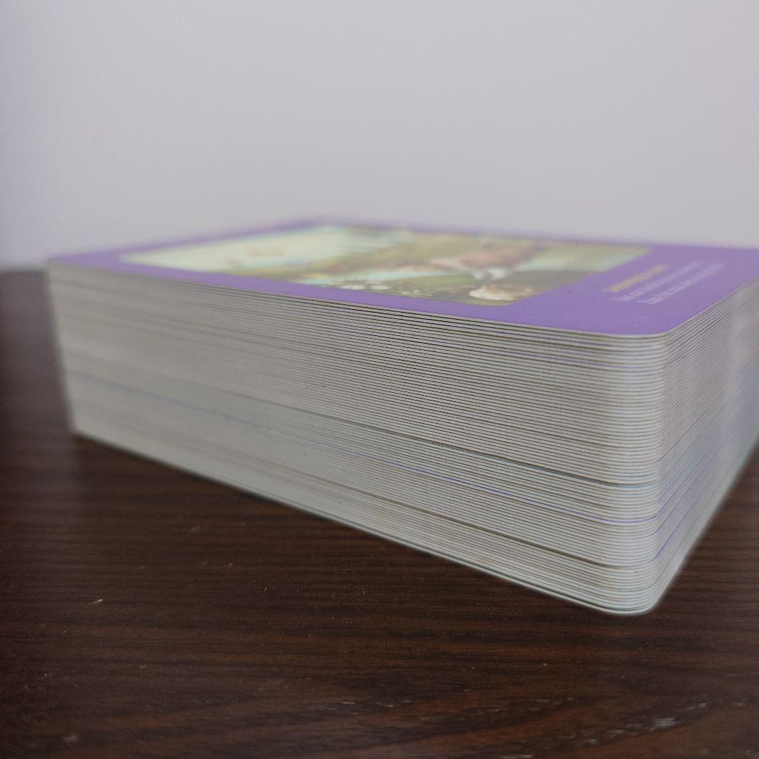 アニマルタロットカード 日本語版説明書付