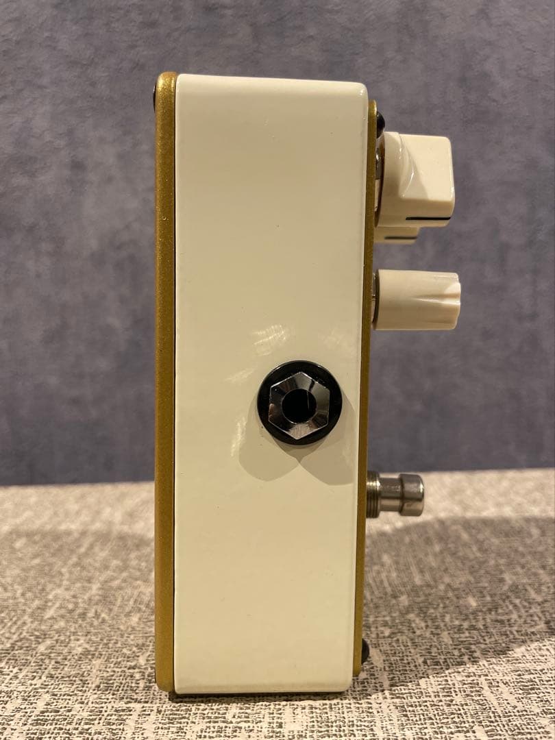 ギター MESA BOOGIE GOLD MINE