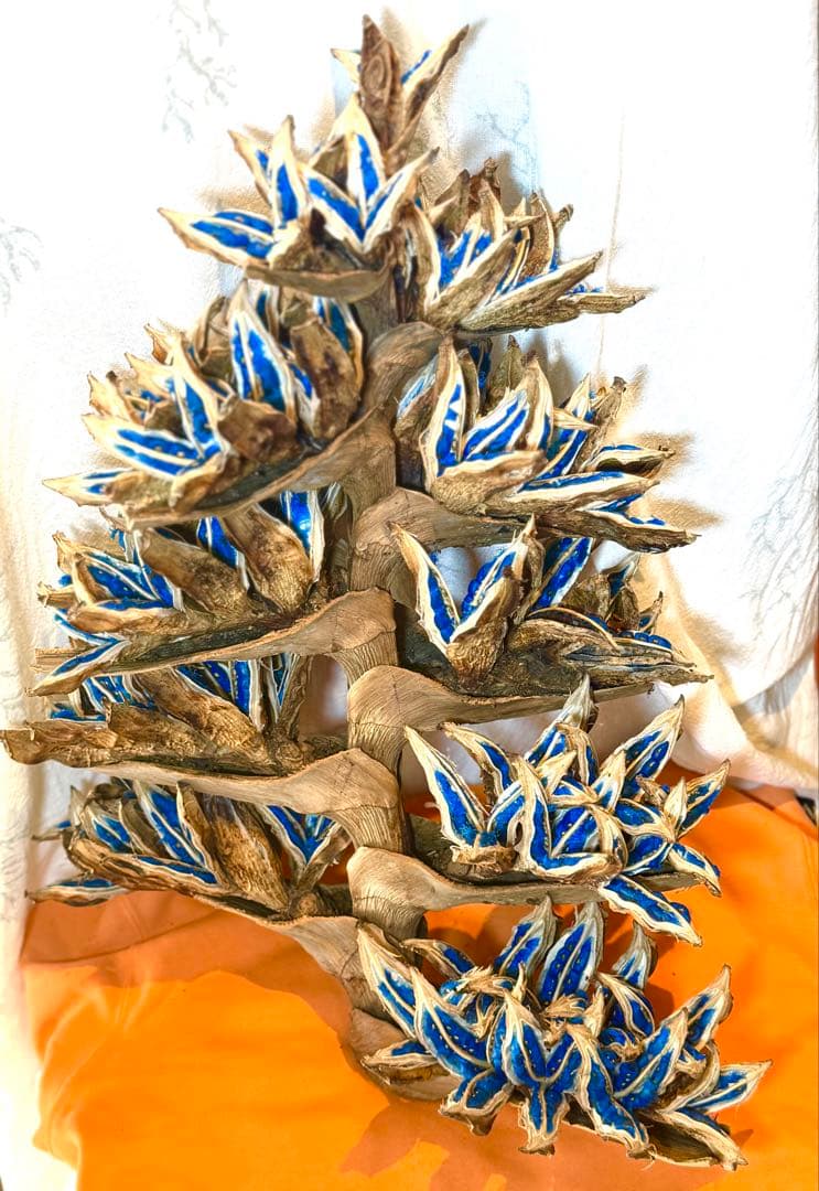 75 旅人の木 11房 特別割引価格 今季物 逸品 宮古島産