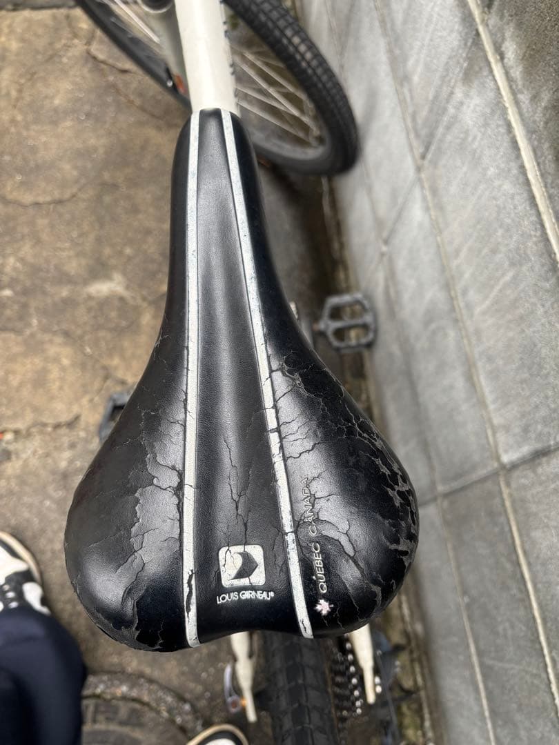 LOUIS GARNEAU マウンテンバイク 26インチ