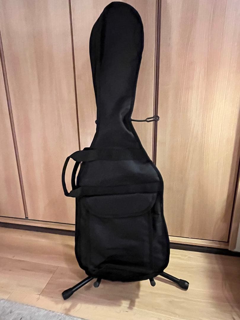 値下げ★Bacchusハードクラブテッドイクイップメント　エレキギター