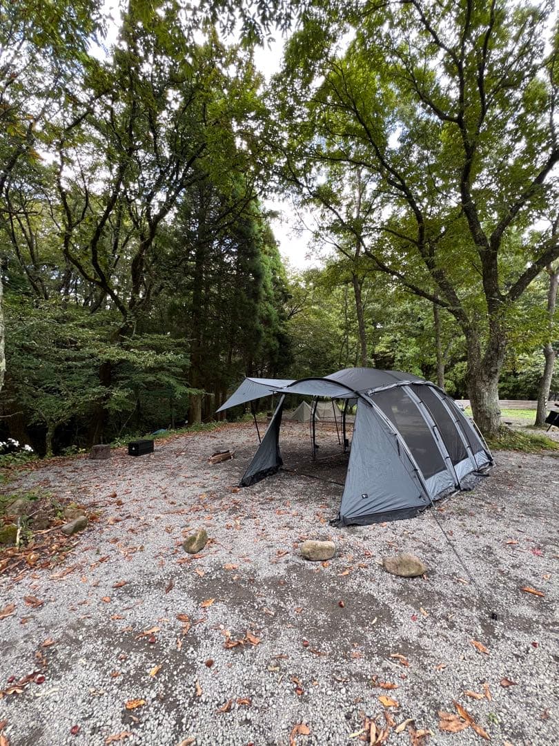 TokyoCrafts ウィングフォート