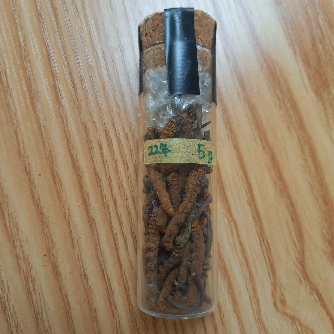 冬虫夏草　値下げ可能になりました！