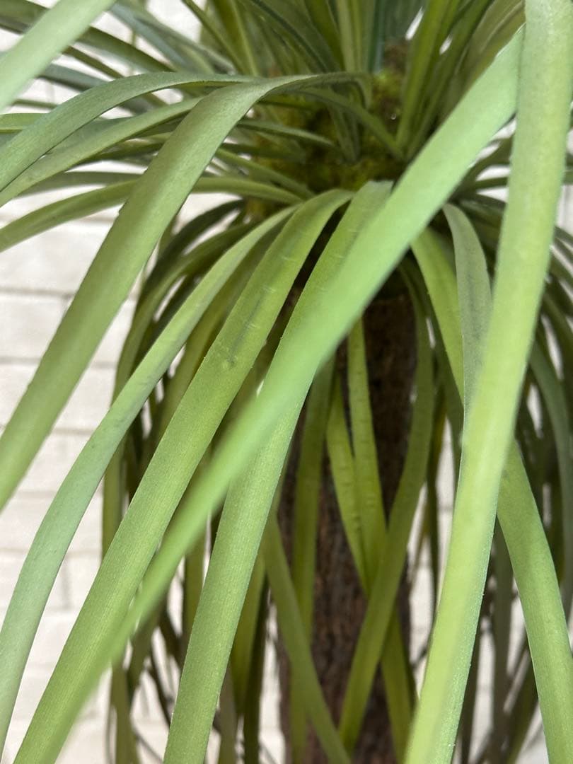 【東京23区配送無料】定価9万円　エミリオロバ　ユッカ　造花　観葉植物　高級　緑