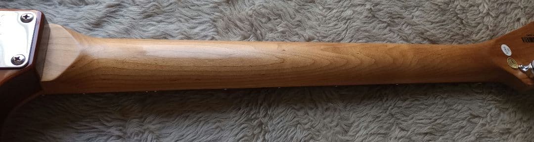 Tagima STELLA DW ストラトタイプギター