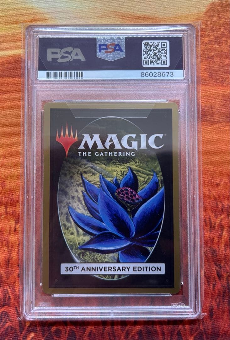 MTG 30th anniversary edition / Tundra 旧枠