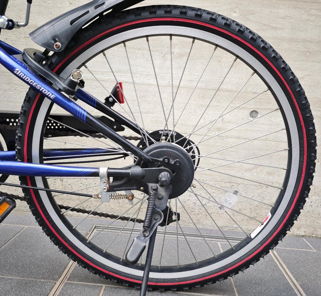 ブリヂストン エクスプレス ジュニア 24型 (青/6段変速) 点灯虫モデル