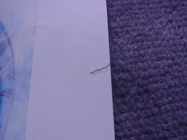 非売品　ポスター　MTG　世界選手権開催記念　スペシャル土地カード　当時物