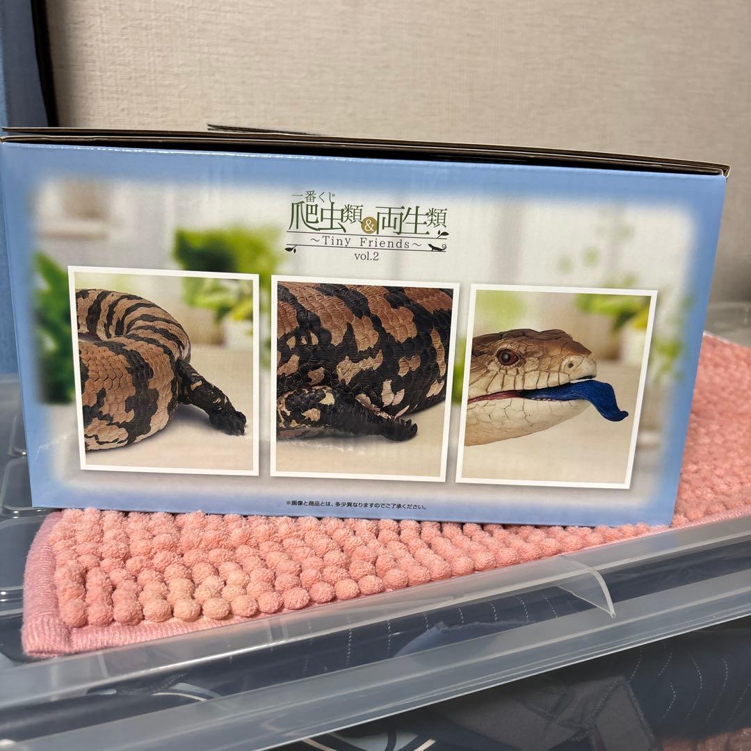 一番くじ 爬虫類&両生類 A賞 C賞 D賞 E賞 ラストワン フィギュア