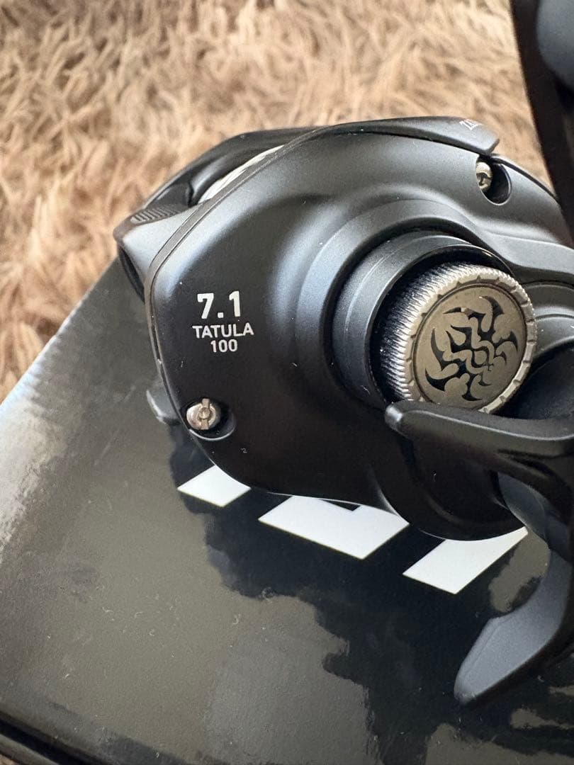 Daiwa TATULA TW 100H ベイトリール　TW100H