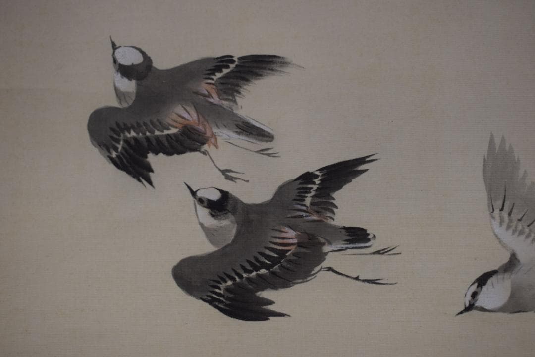 琴仙/月下千鳥図/群鳥図/掛軸☆宝船☆Z-383