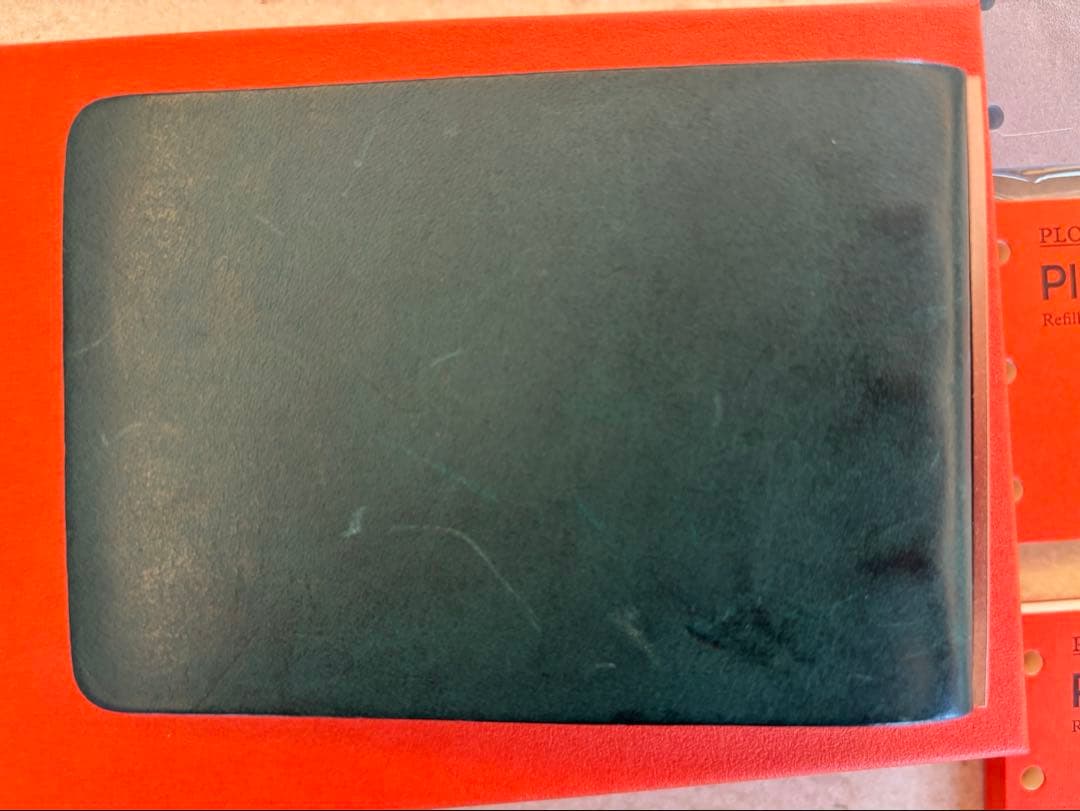 Plotterプロッター/限定リスシオ3穴リングバインダー/ブルー