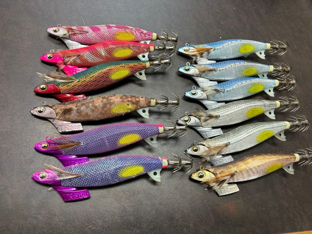 廃盤カラー　エギ王TR3.5号 １２本セット