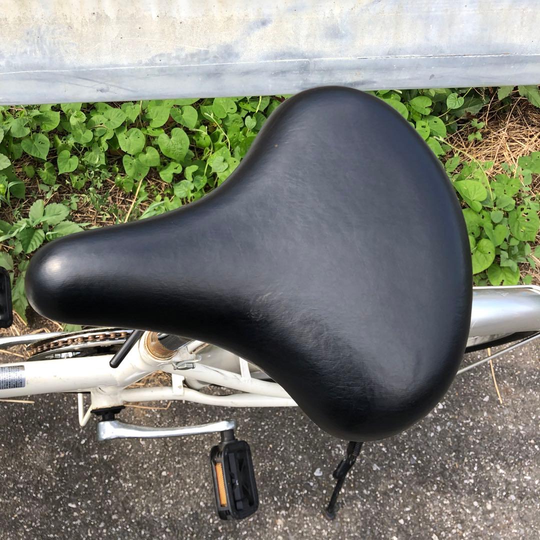 [566] 引き取り限定 パンゲア 折りたたみ自転車