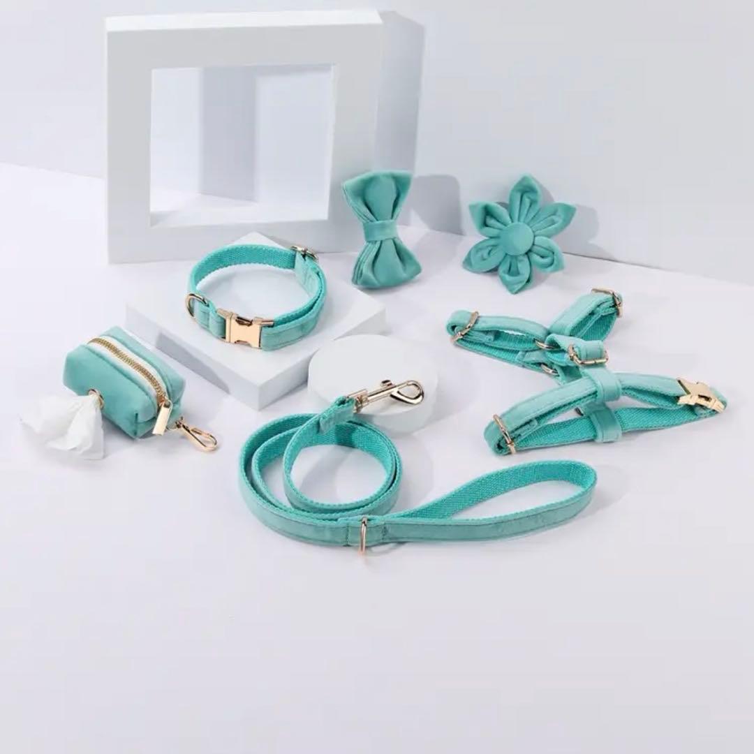 オーダー 首輪 名前 迷子札ハーネス ベルベット バックル ティファニーブルー