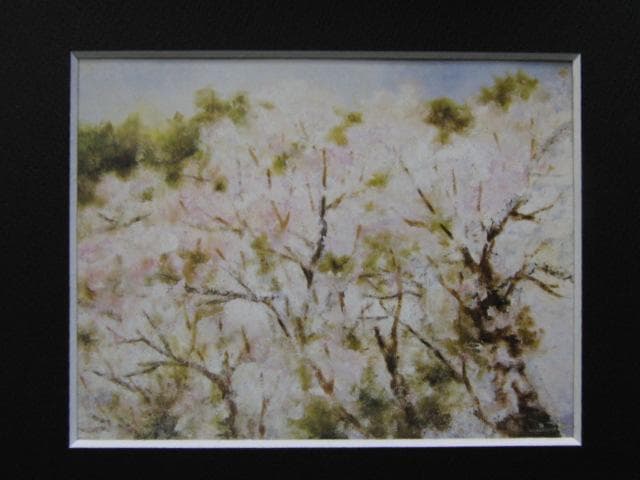 丸山しょうこ、【さくら】、希少画集画より、状態良好、新品高級額装付