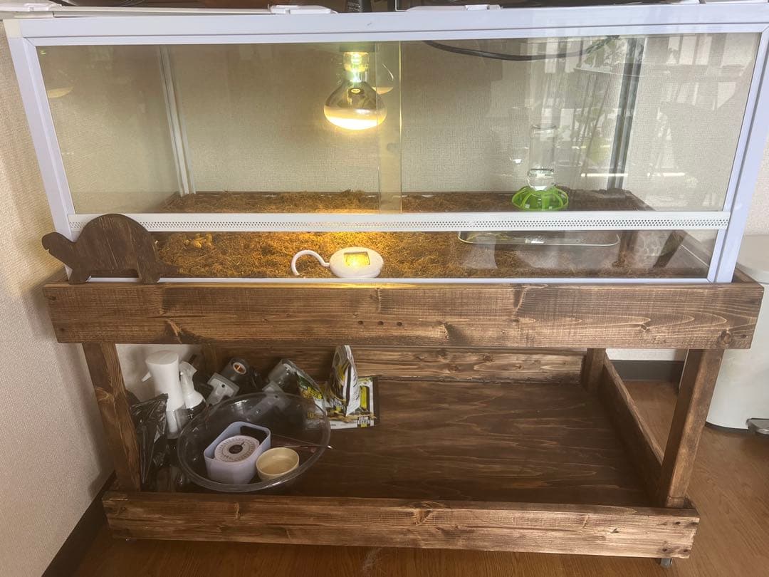 爬虫類ゲージ　カート