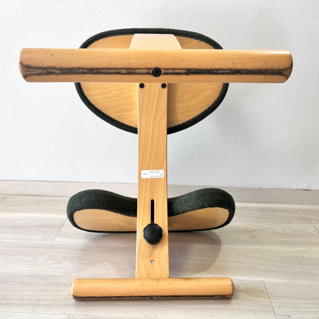 【廃盤希少カラー 】Rybo バランスイージー　Balans EASY グリーン