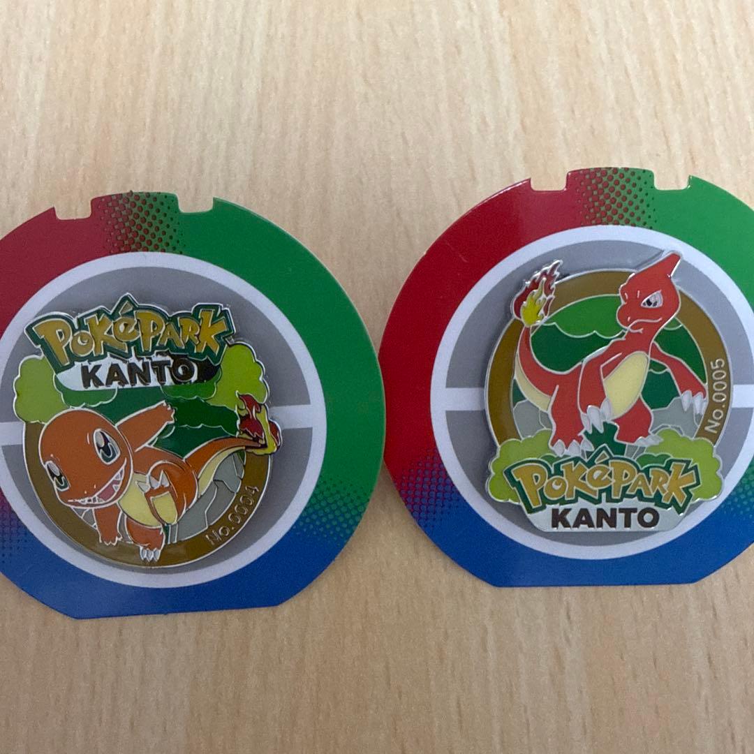 ポケパーク カントー ヒトカゲ リザードピンバッジ ピンズセット　限定品