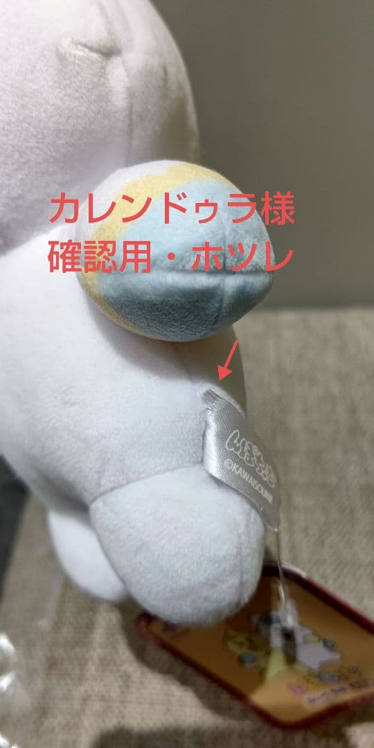 確認用・ホツレ