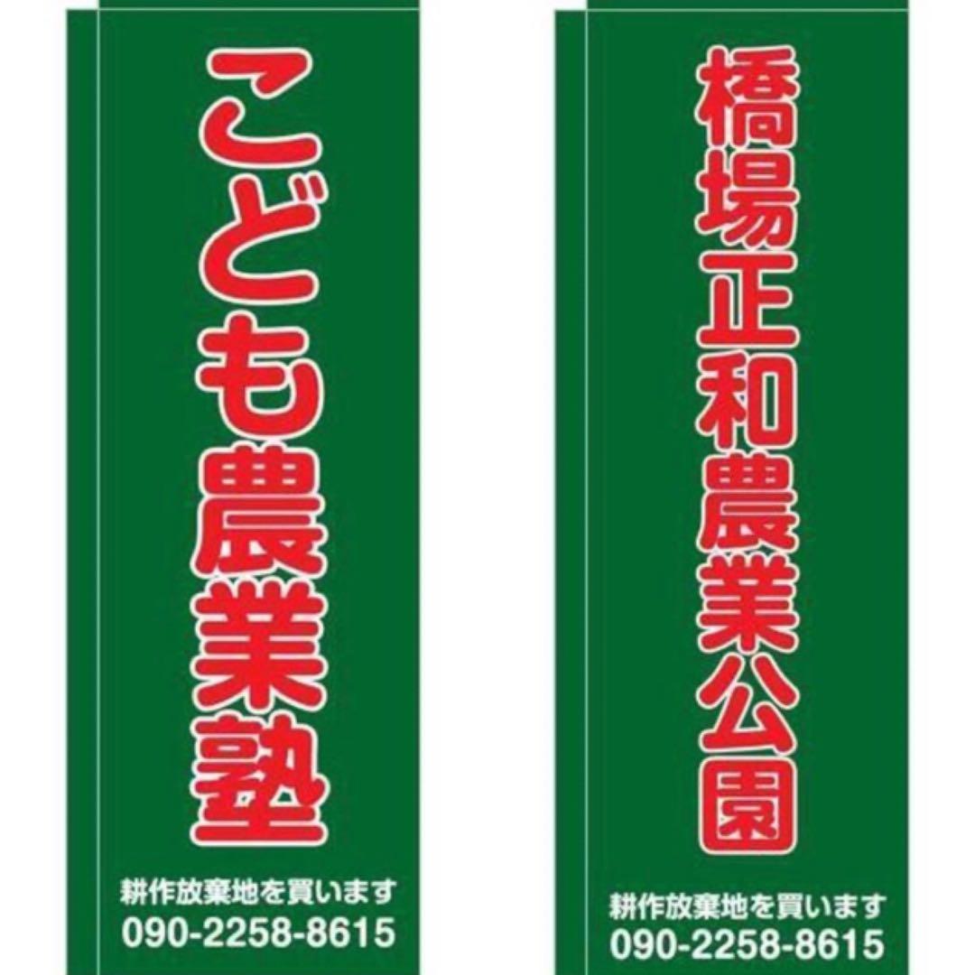 こころの風景コレクション【中村賢次　ムシカゴ】購入金額より60％お値引き！！