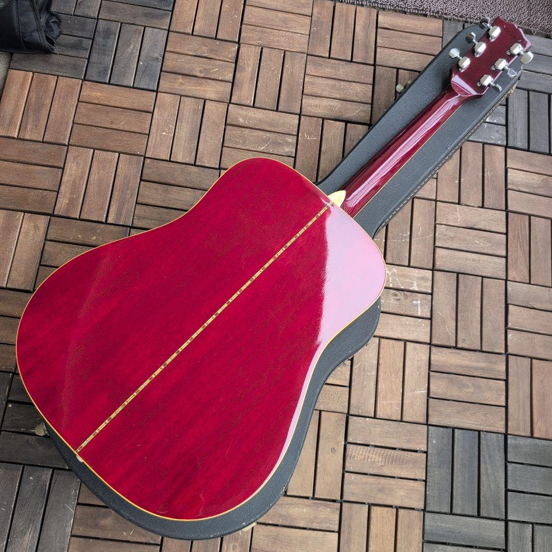 MORRIS ハミングバードDOVE WD−25 チェリーサンバースト！