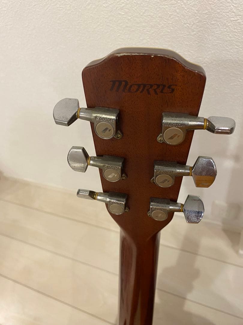 Morris モーリス　M601 アコースティックギター ハカランダ