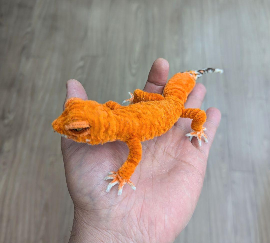 CoCo...オーダー作品モールのレオパ２、アメフクラガエル、ミヤコヒキ